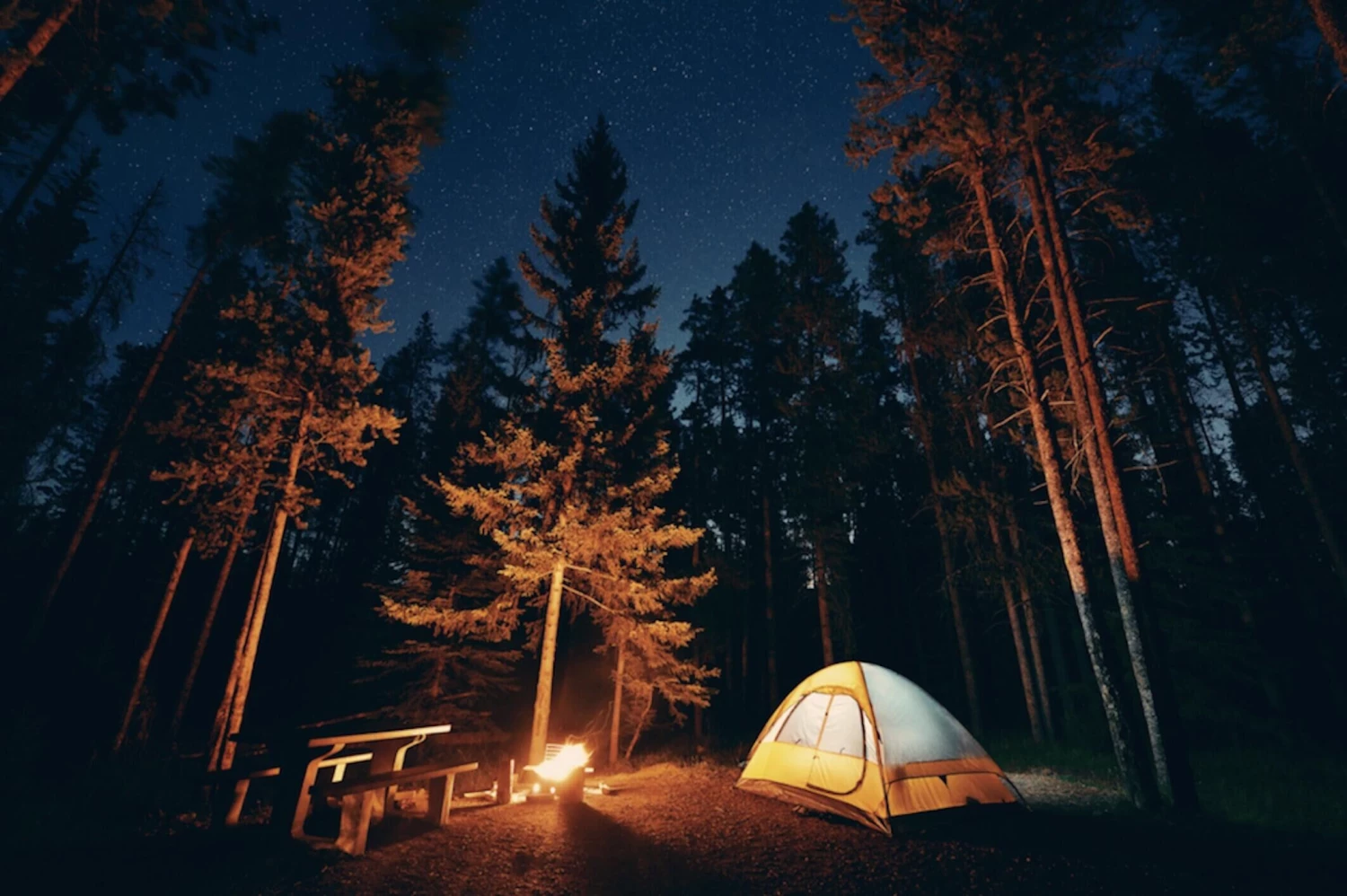 Cheap Brightguy Store -Cheap Brightguy Store 788888