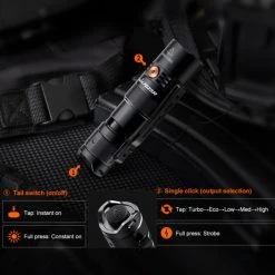 Dog Walking Fenix PD25R Rechargeable Flashlight | Authorized Distributor -Cheap Brightguy Store Fenix PD25R Rechargeable Flashlight 7 600x600 1