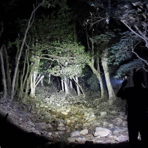 Bright Flashlights Fenix RC20 Rechargeable Flashlight | 1,000 Lumens 5 Bright Flashlights Fenix RC20 Rechargeable Flashlight | 1,000 Lumens - Image 4