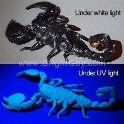 Automotive Repair Flashlights Inova X5 UV Flashlight | Pro Grade 12 Automotive Repair Flashlights Inova X5 UV Flashlight | Pro Grade -Cheap Brightguy Store Inova X5 UV Flashlight 6