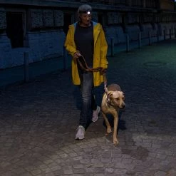 Automotive Repair Flashlights LED Lenser H7R.2 Rechargeable Headlamp | Adjustable Focus -Cheap Brightguy Store LED Lenser H7R.2 Rechargeable Headlamp 12