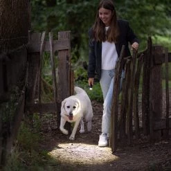 Boating Flashlights LEDLenser P5R Core Rechargeable Flashlight | Adjustable Focus -Cheap Brightguy Store LED Lenser P5R Core Rechargeable Flashlight 6 600x600 1